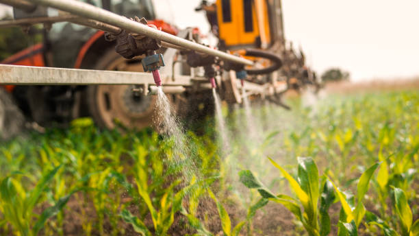 Best Pest Control Near Me  in Springville, IA