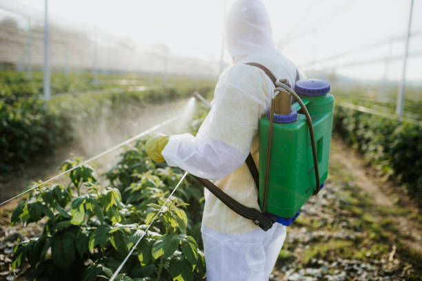Springville, IA Pest Control Company